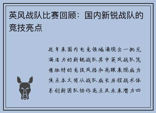 英风战队比赛回顾：国内新锐战队的竞技亮点