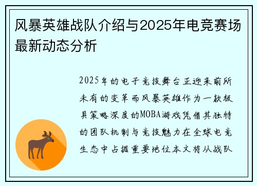 风暴英雄战队介绍与2025年电竞赛场最新动态分析